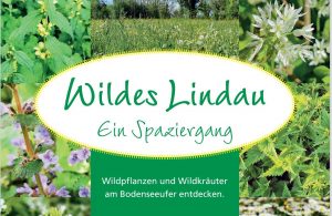 Wildpflanzen_Wildkräuterwanderung_Lindau